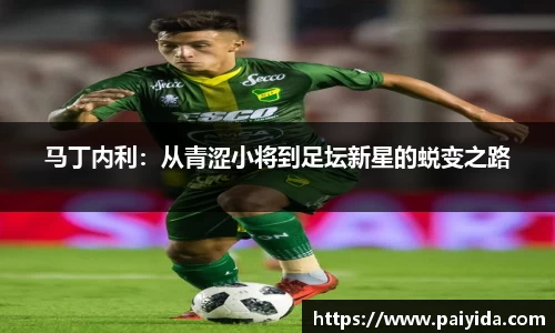 马丁内利：从青涩小将到足坛新星的蜕变之路